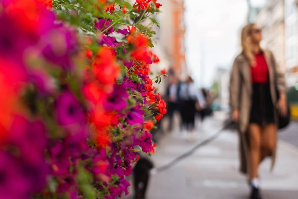 gilmoora-house-and-fitzrovia-is-where-success-blooms