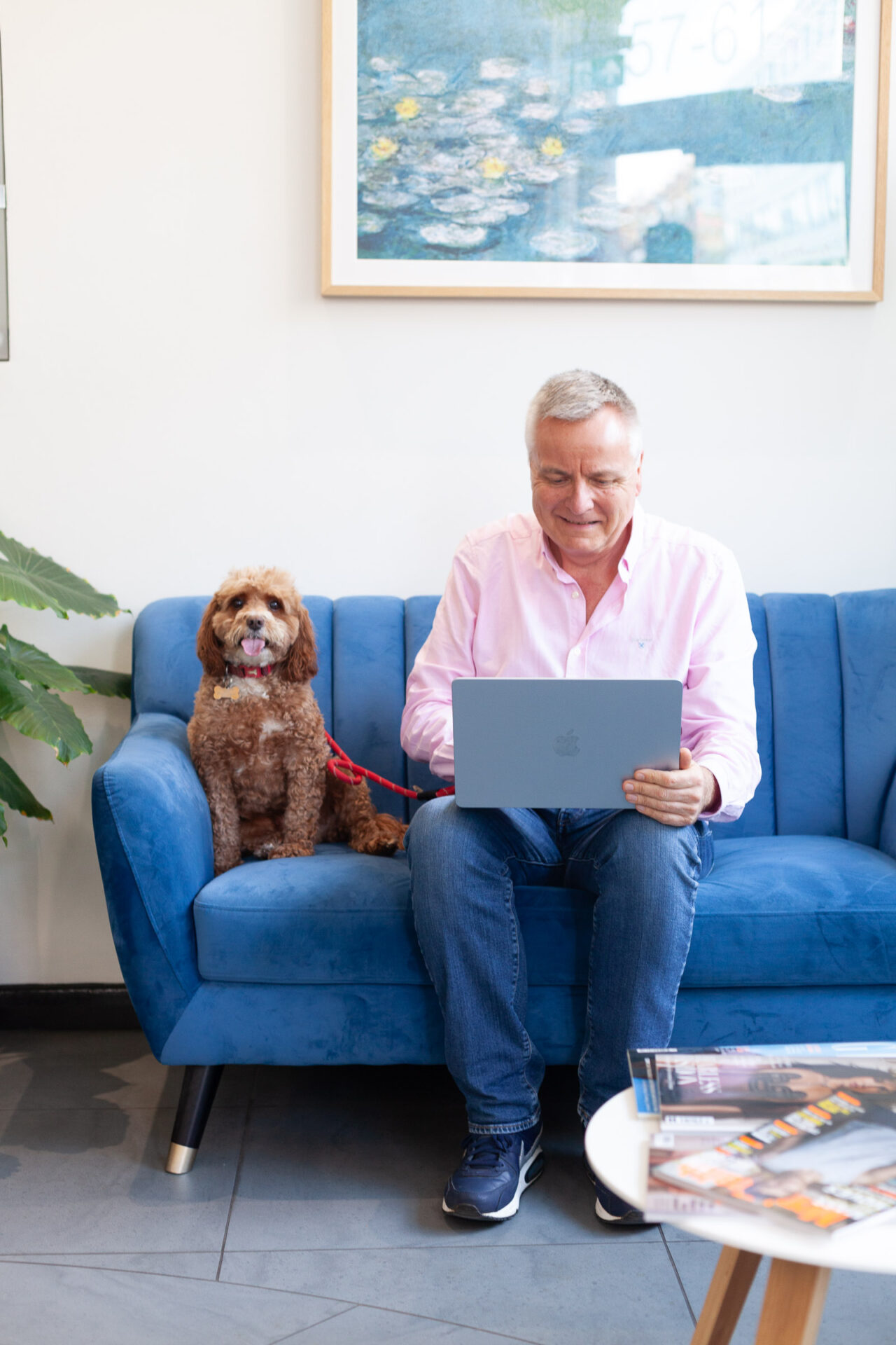 The Perks of a Pet-Friendly Workplace