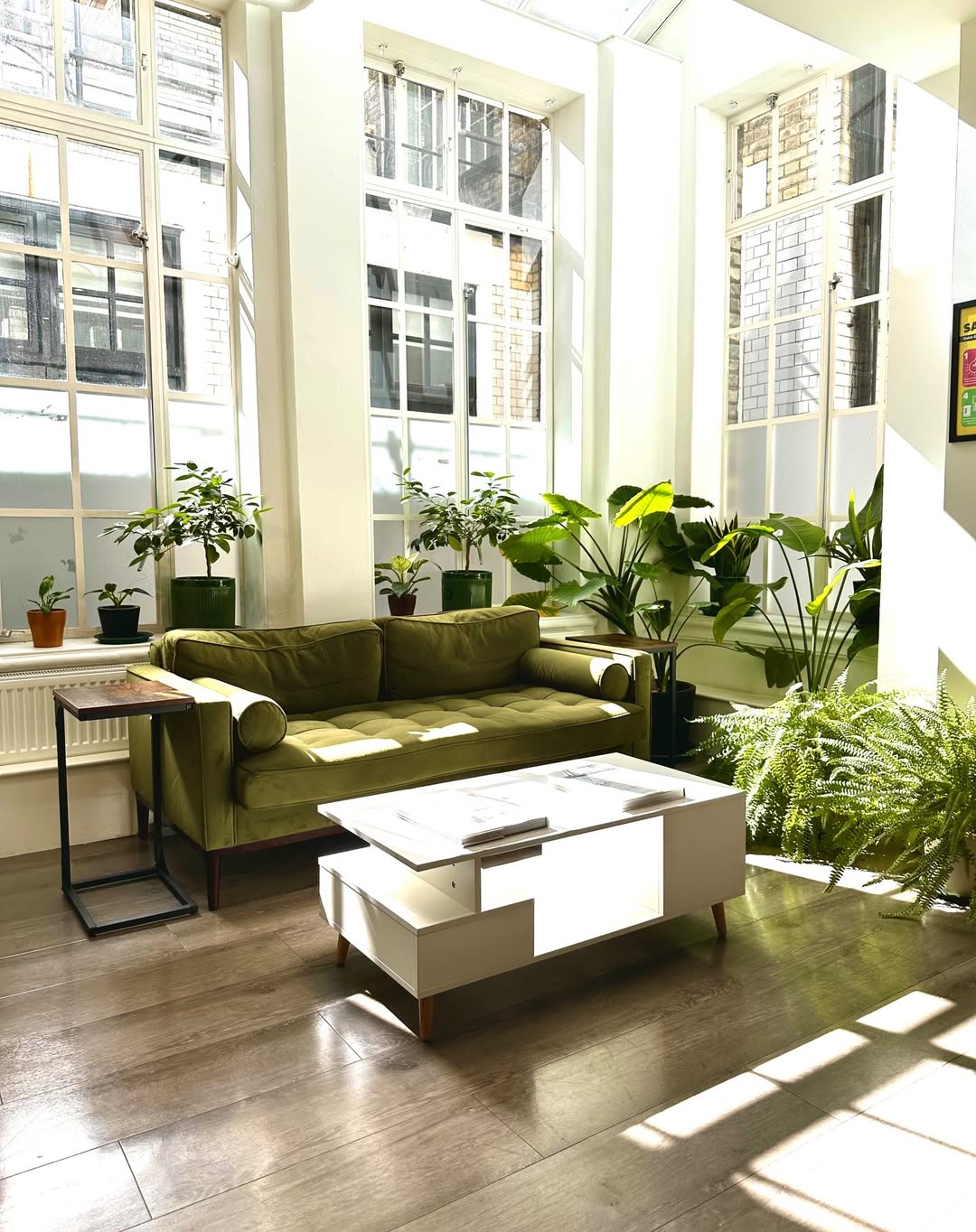 Going Green at Gilmoora House 🌍