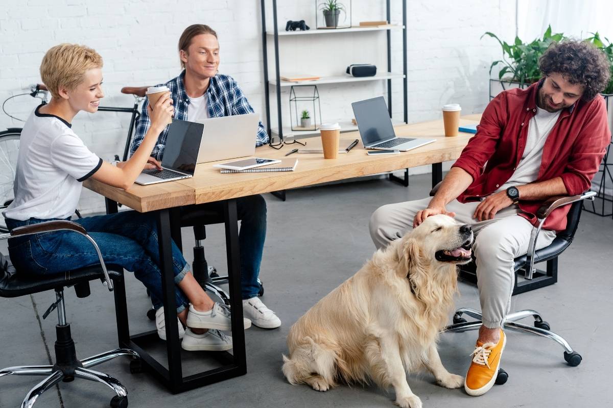 Top 10 Dog-Friendly Office Spaces in Central London