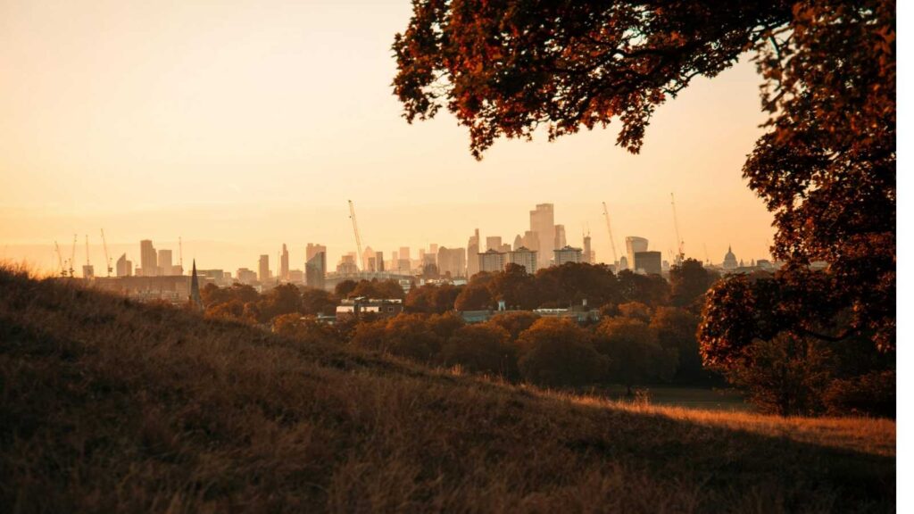 Primrose Hill